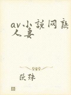 av小说网熟女人妻