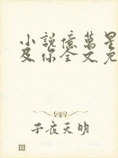 小说亿万星辰不及你全文免费阅读