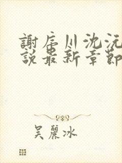 谢序川沈沅珠小说最新章节免费阅读封面