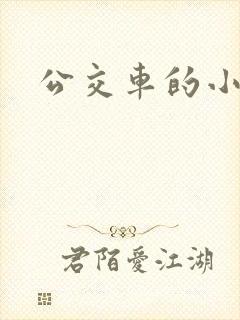 公交车的小说