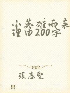 小英雄雨来推荐理由200字