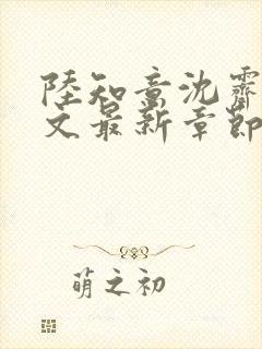 陆知意沈霁川全文最新章节更新