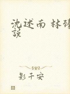 沈述南 林臻小说