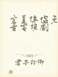 完美伴侣免费观看电视剧