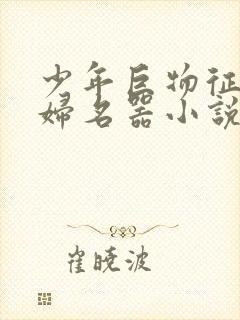 少年巨物征服美妇名器小说封面