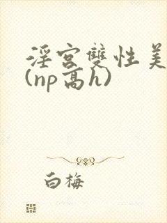 淫宫双性美人录(np高h)