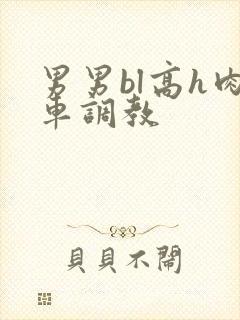 男男bl高h肉车调教