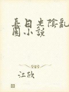 长日光阴乱作一团小说