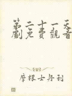 第二十一天电视剧免费观看