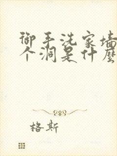 御手洗家墙壁有个洞是什么电视剧