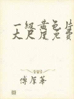 一级黄色片免费大尺度免费