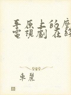 平原上的摩西 电视剧 在线观看