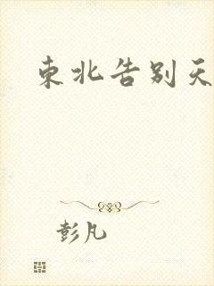 东北告别天团