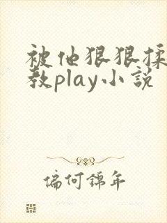 被他狠狠揉搓调教play小说