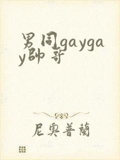 男同gaygay帅哥