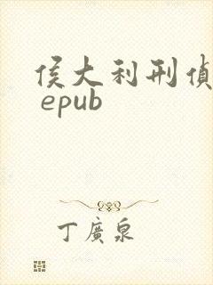 侯大利刑侦笔记 epub