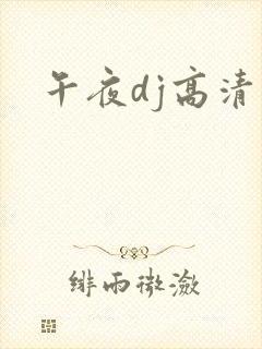 午夜dj高清