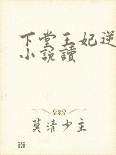 下堂王妃逆袭记小说读