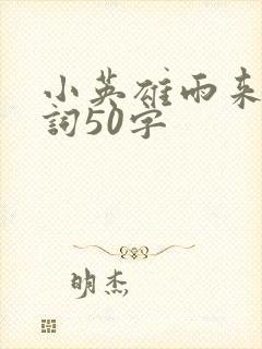 小英雄雨来推荐词50字