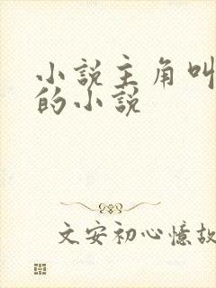 小说主角叫叶观的小说