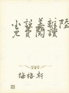 小说姜离陆时晏免费阅读