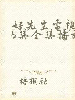 好先生电视剧45集全集播放免费