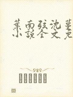 叶南弦沈蔓歌的小说全文免费阅读封面