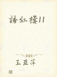 诱红楼11封面