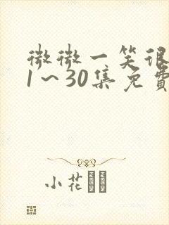 微微一笑很倾城1～30集免费观看