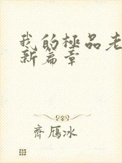 我的极品老婆最新篇章