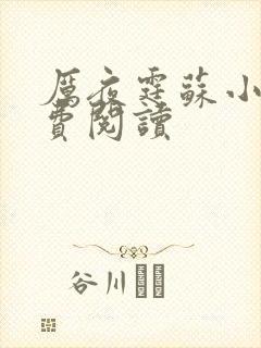 厉夜霆苏小汐免费阅读