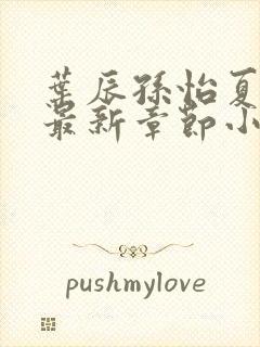 叶辰孙怡夏若雪最新章节小说心