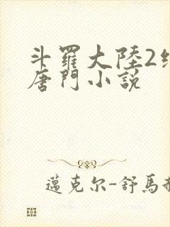 斗罗大陆2绝世唐门小说