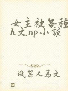 女主被各种调教h文np小说