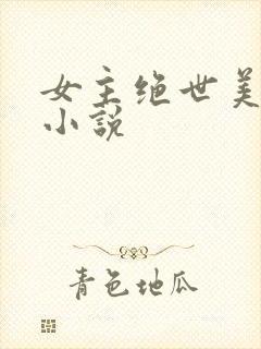 女主绝世美人的小说