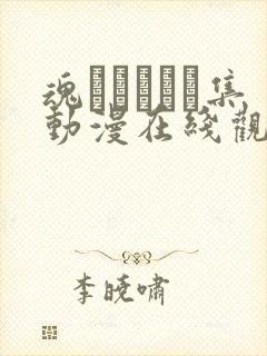 魂インサート集动漫在线观看封面