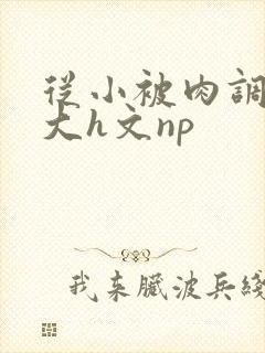 从小被肉调教到大h文np