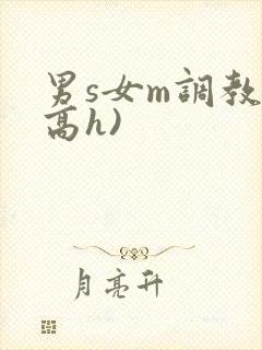 男s女m调教(高h)