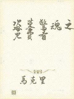 盗墓惊魂之锁魂免费看