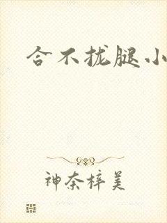 合不拢腿小说