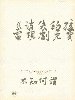 《消失的孩子》电视剧免费观看封面