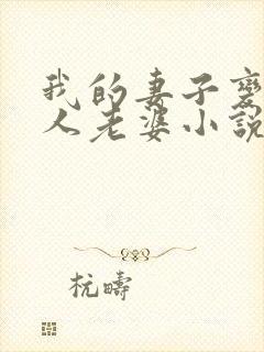 我的妻子变成别人老婆小说