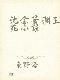 沈念萧渊王爷假死小说