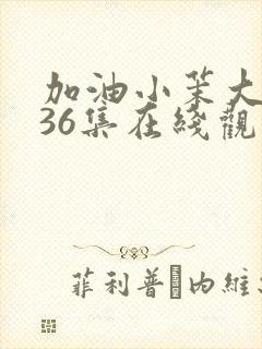 加油小茉大结局36集在线观看