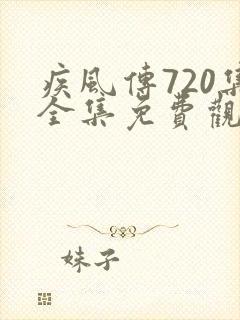疾风传720集全集免费观看封面