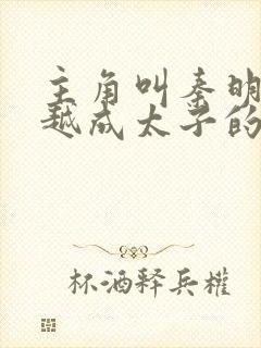 主角叫秦明的穿越成太子的小说