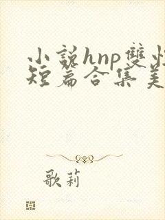 小说hnp双性短篇合集美人