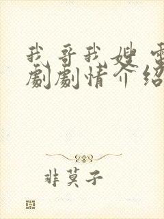 我哥我嫂 电视剧剧情介绍大结局