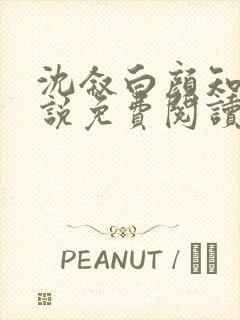 沈叙白颜知寒小说免费阅读最新章节