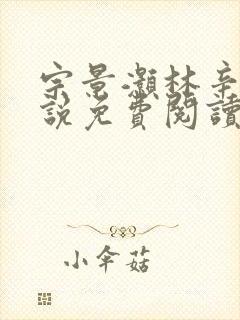 宗景灏林辛言小说免费阅读最新章节